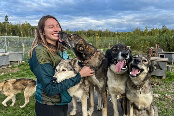 Top-Rated Dog Sledding & Wildlife Tours in Anchorage