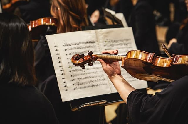 Mozart, Beethoven, Strauss in Vienna Private Tour & Concert