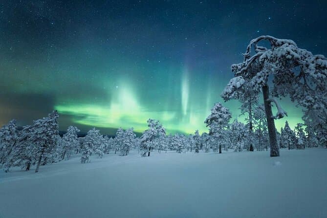 Whitehorse Aurora Tour