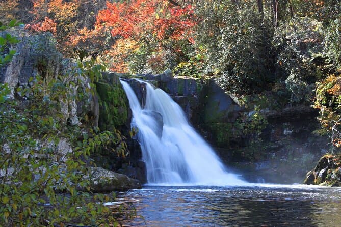 Best Great Smoky Mountains National Park Tours & Activities