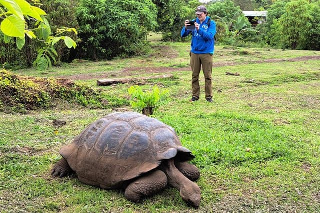 Transfer Airport-hotel in Galapagos Santa Cruz with visit to Giant Tortoises