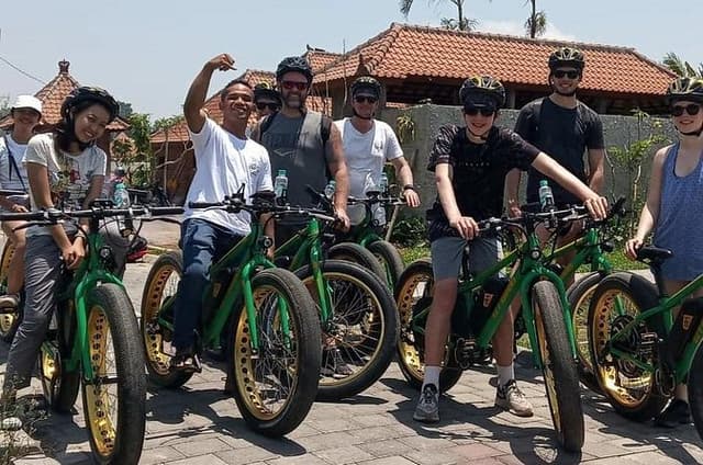 Gianyar Waterfall eBike Private Tour