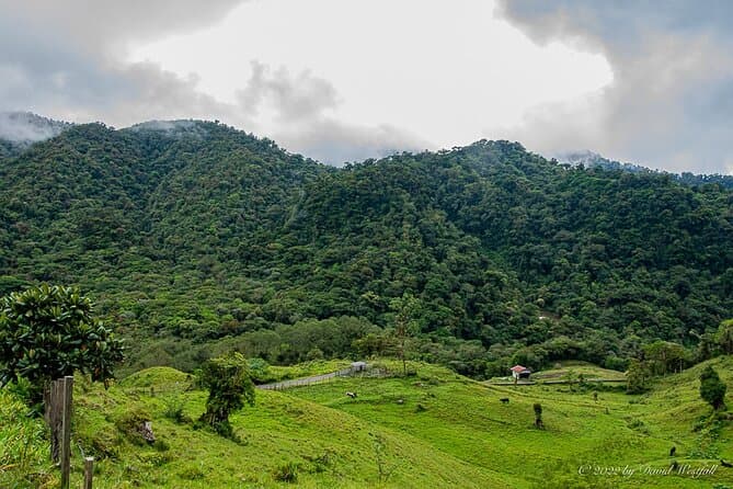 Best Boquete Panoramic Tour: Explore Panama's Highlands