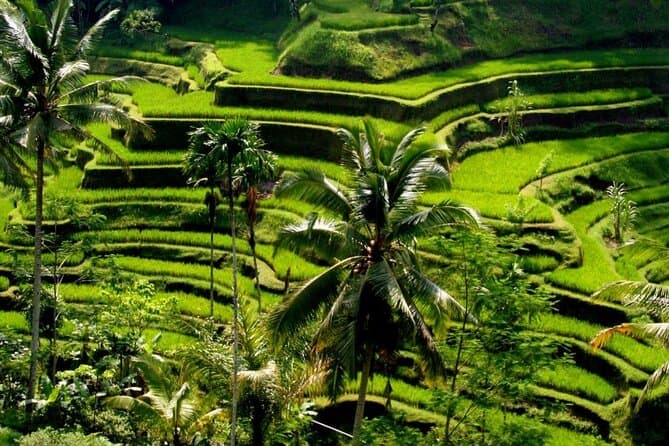 Authentic Bali Countryside Adventures & Cultural Tours