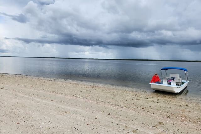 10,000 Islands Boat Tour + Naturalist Led Walk in the Everglades!