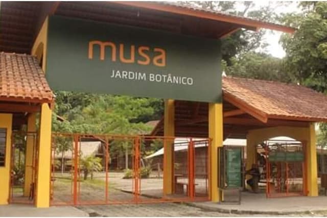 Tour at the MUSA – Amazon Museum in Manaus Amazon Experience