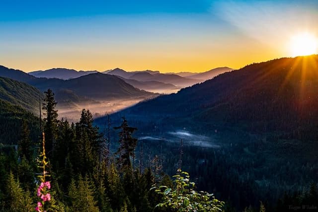 Ketchikan Backcountry Driving Tour Through the Tongass