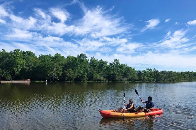 Authentic New Orleans Bayou Boat Tours & Wildlife Adventures
