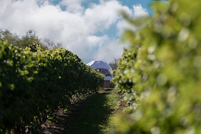 1 Hour Private Vineyard Dome Experience in Niagara-on-the-Lake