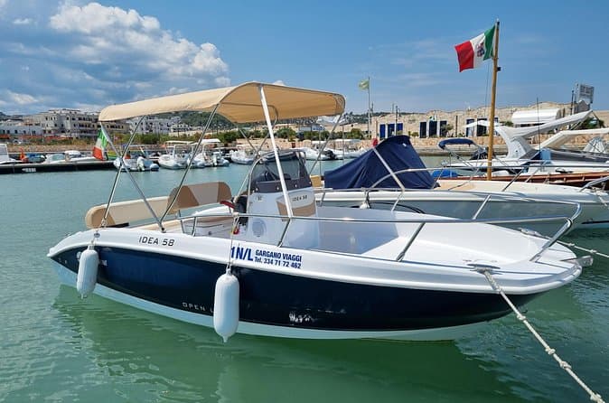 Best Vieste Coastal Boat Excursions