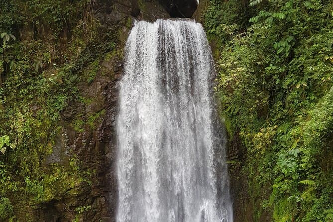 Unforgettable El Tigre Waterfalls Adventure in Monteverde