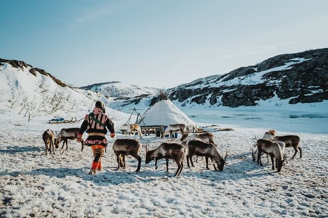 Arctic Fjords and Reindeer Experience – Small group tour