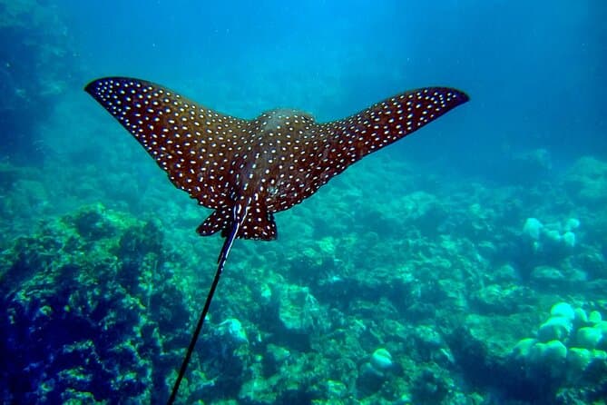 Best Sea & Kayak Tours in Playa Hermosa