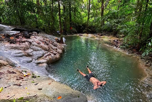 Ancient Lava Stream Trek through dense Tropical forest.