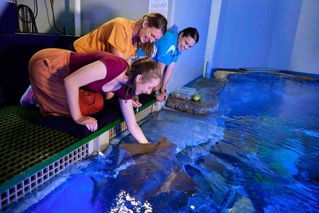 Cairns Aquarium Marine Life Encounter Ticket