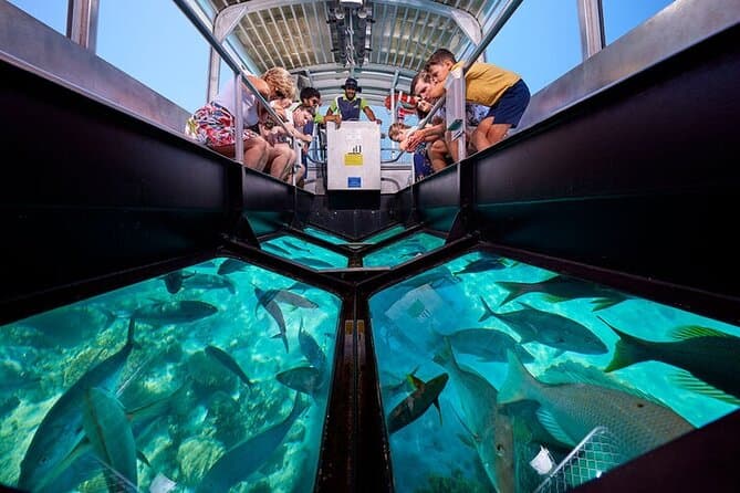 Hurghada Semi-Submarine Tour