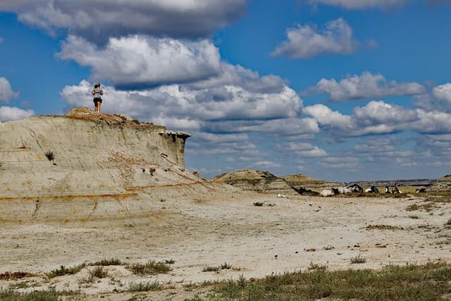 Chasing Horses Back to Nature Experience in North Dakota