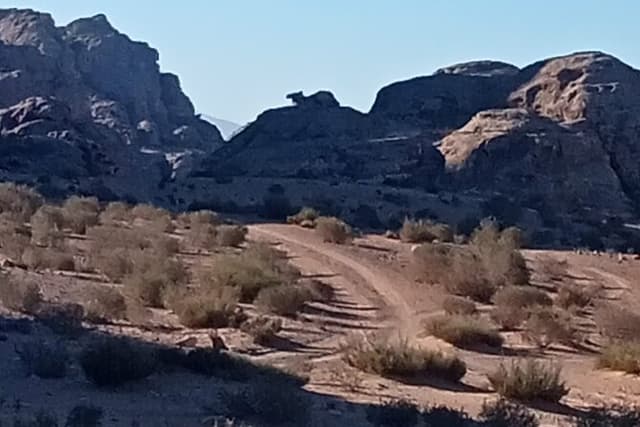 Petra Back-Road Trail and Hike