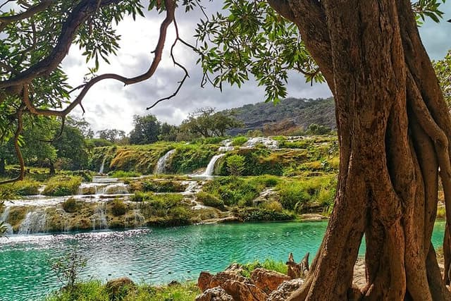 8 Hours of Salalah Best: East & West Private Tour
