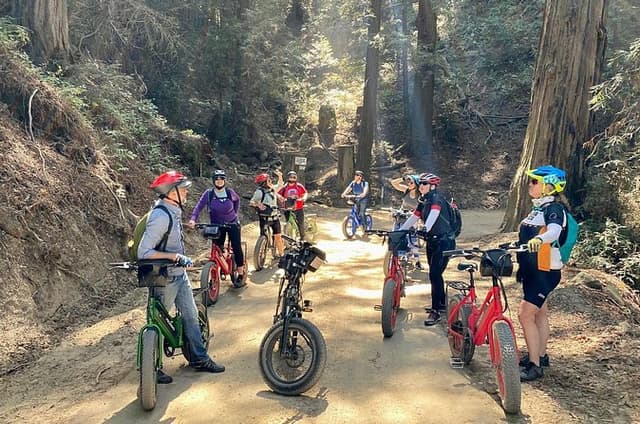 Big Sur's Old Coast Road eBike Tour