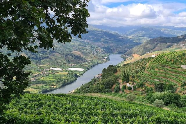 Douro Valley Private Tour (winery + boat + viewpoint)