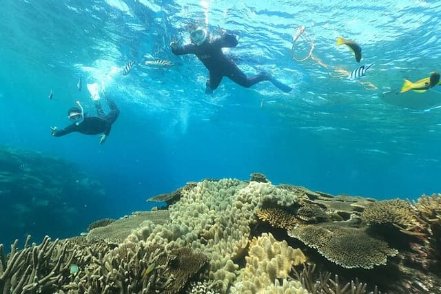 Okinawa : Boat Snorkeling 1 Round at Minna, Sesoko or Motobu