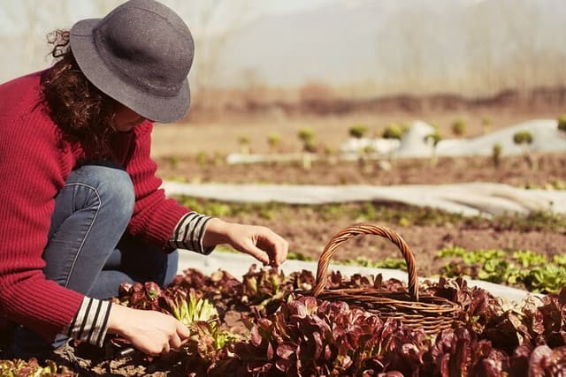 Private Earth Experience in Mendoza