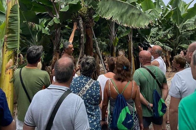 Best Banana World Tours in Gran Canaria