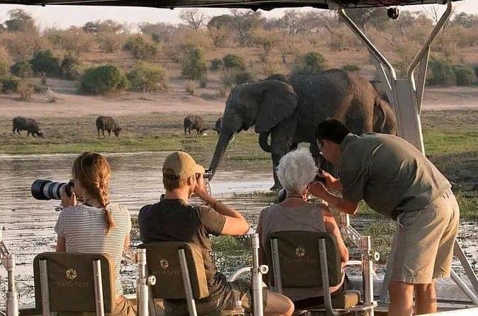 Best Chobe Safari Day Tours from Livingstone