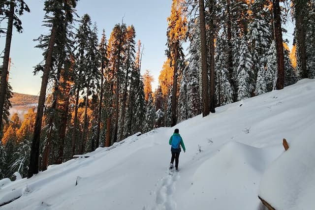 Private Snowshoe Adventure - Sequoia National Park