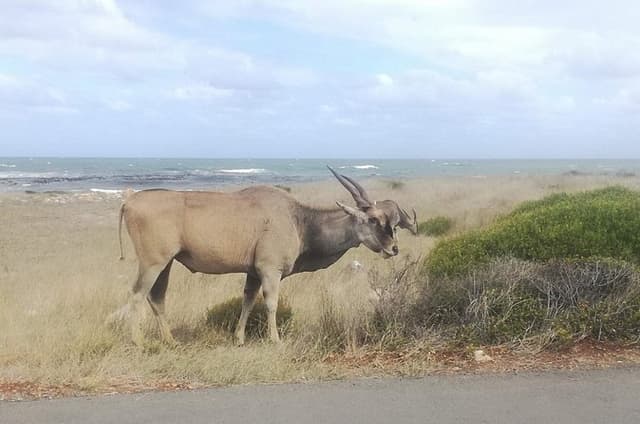 South to North West Rural Tour