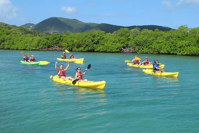 Shore Excursion: Mangrove Lagoon Kayak & Snorkel w transportation