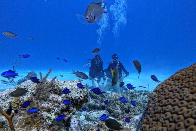Best Scuba Diving Adventures in San Andrés, Colombia