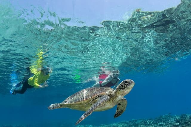 Silverswift 3 Great Barrier Reef Sites in 1 Day from Cairns