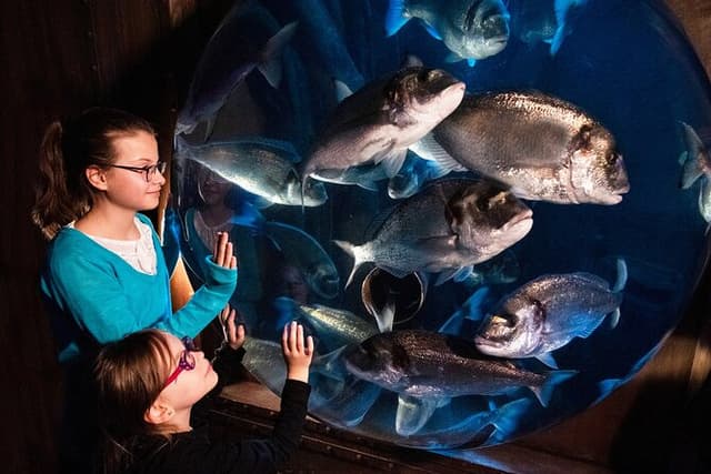 SEA LIFE Speyer Admission Ticket