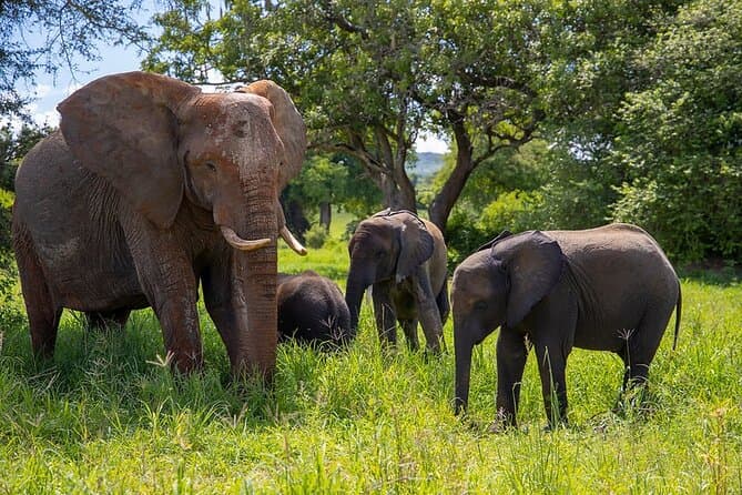 Epic Lake Natron Safari Adventures from Arusha