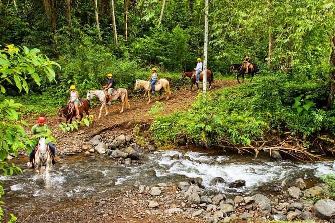Unforgettable Zipline Adventures in Jaco, Costa Rica