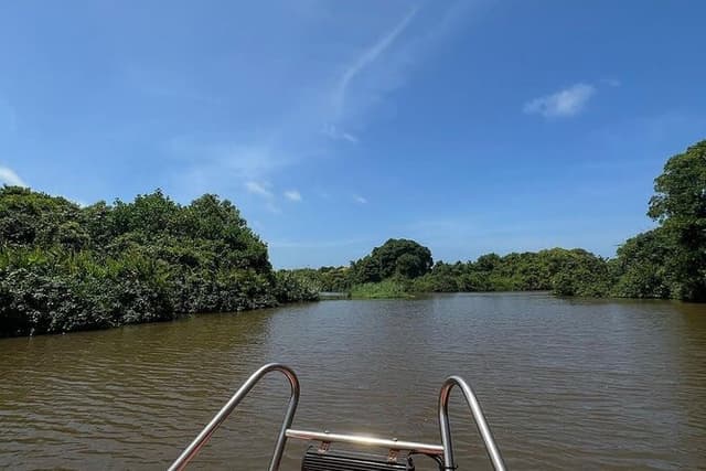 Negombo Lagoon & Muthurjawela Bird Watching Boat Tour