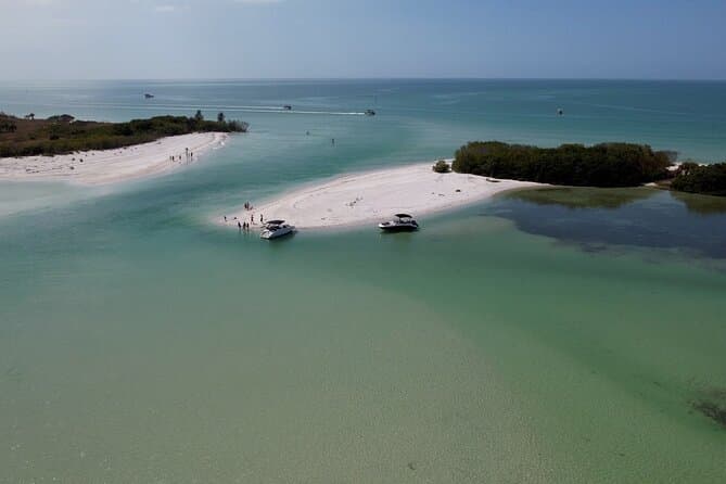 Unforgettable Dolphin Watching Cruises in St. Petersburg