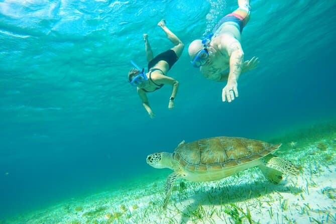 Cozumel Snorkeling Tour