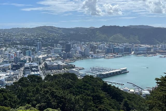 Wellington Full Day Private Tour in Electric Tesla SUV