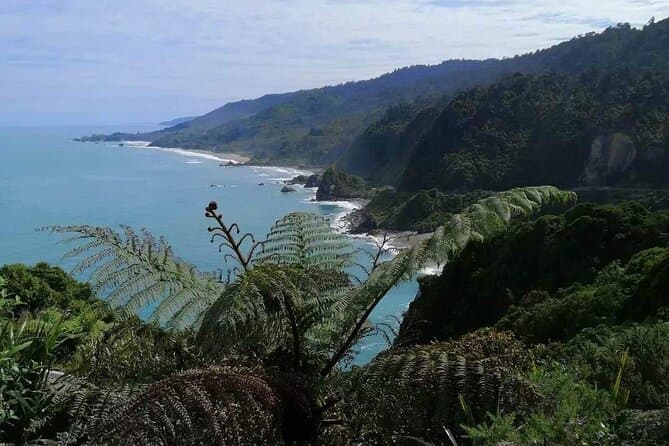 Ultimate Greymouth West Coast Full Day Adventure