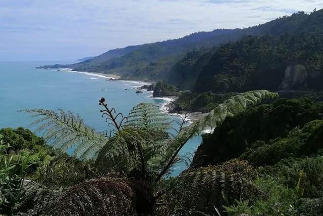 Full Day Tour of the Sights and Tastes of the West Coast