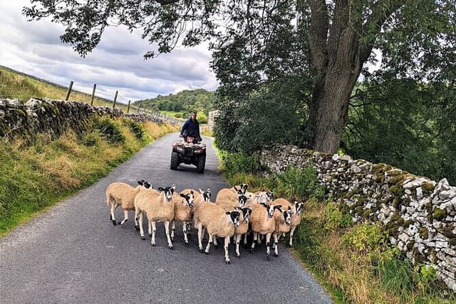 The Yorkshire Dales of All Creatures Great & Small