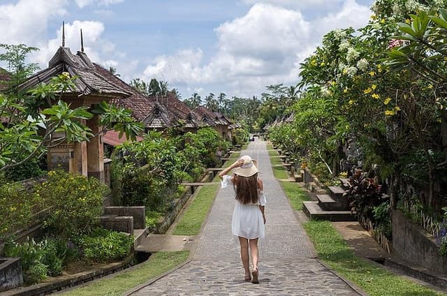 Bali Cultural Heritage Bamboo Forest Tour (Private All Inclusive)