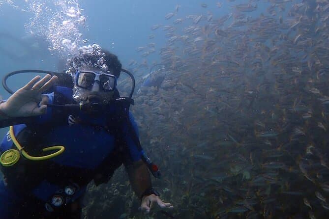 Best Scuba Diving Experiences in Bodrum, Turkey