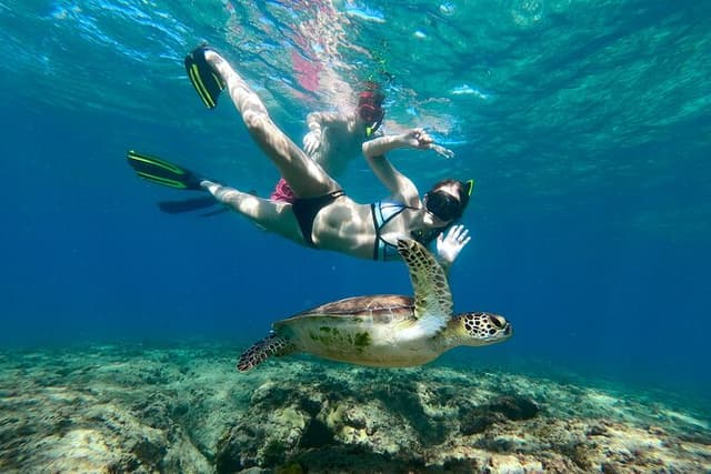 Snorkeling Adventure in Aguadilla