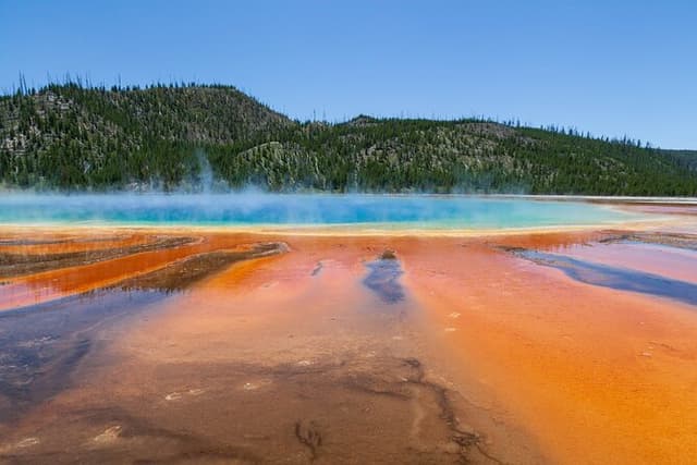 Full Day Yellowstone Nat'l Park Tour from Big Sky - Private Tour