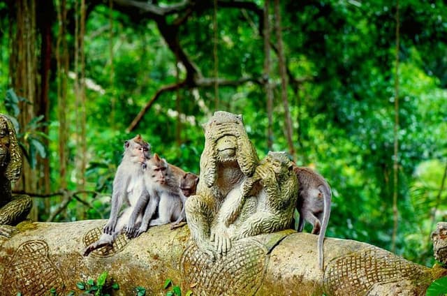 Ultimate Ubud Experience – Art, Nature & Culture in One Day