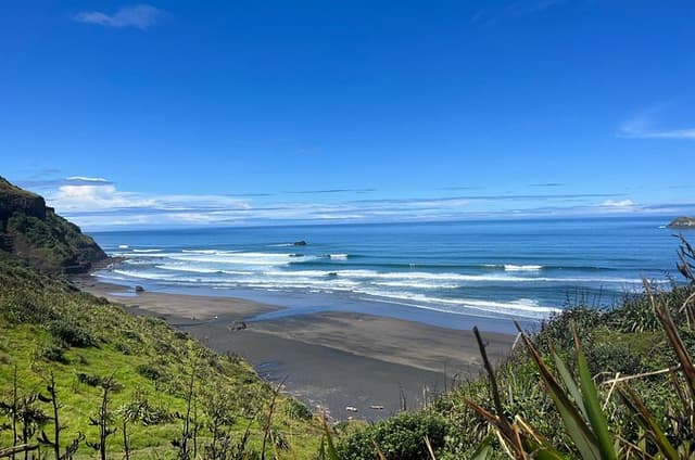 Auckland City and West Coast Black Sand Beach Full Day Tour